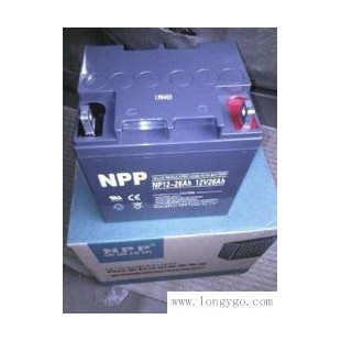 耐普蓄电池NP24-12参数价格