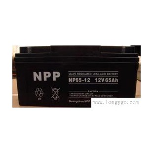 耐普蓄电池NP60-12总经销