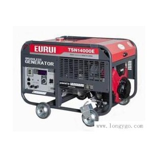 日本东洋EURUI汽油大功率单相发电机组TSN14000E