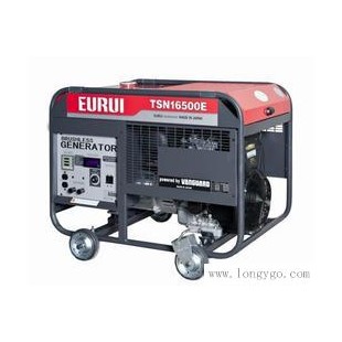 日本东洋EURUI汽油大功率单相15KW发电机组TSN16500E