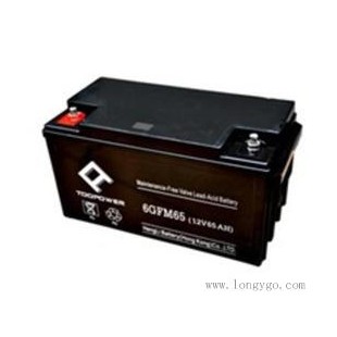 天力蓄电池6GFM65蓄电池12V65AH专业销售
