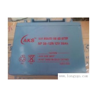 AKS蓄电池NP38-12N型号2V38AH专业销售