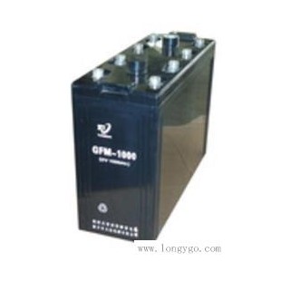 GFM-1000 蓄电池生产厂家，阀控式铅酸蓄电池
