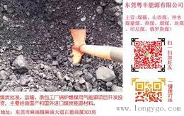 印尼煤供应_广东优质的印尼煤进口价格怎么样