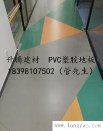 南充会议室PVC地板遂宁报告厅地胶图书馆电影院用PVC吸音地板