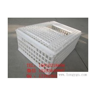质量好塑胶运输鸡笼塑料大鸡笼 运输专用鸡笼生产厂家