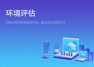 环境评估